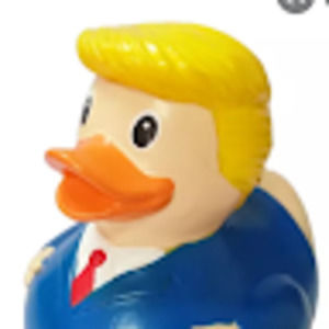 Meet your Posher, Abigail